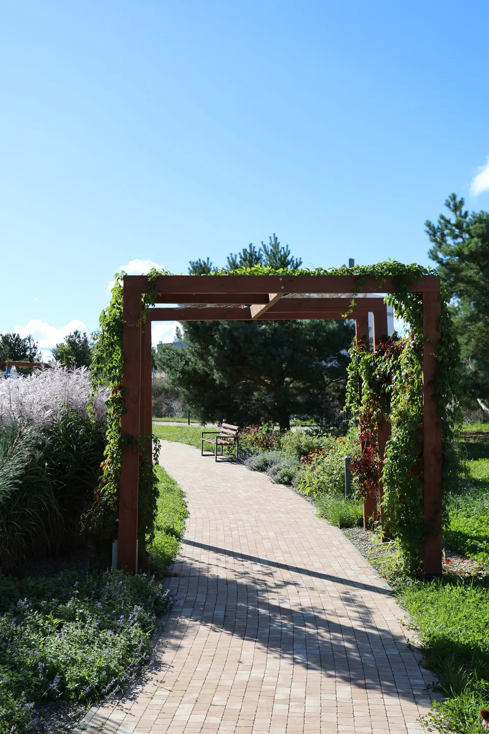Drewniana pergola nad alejką w parku