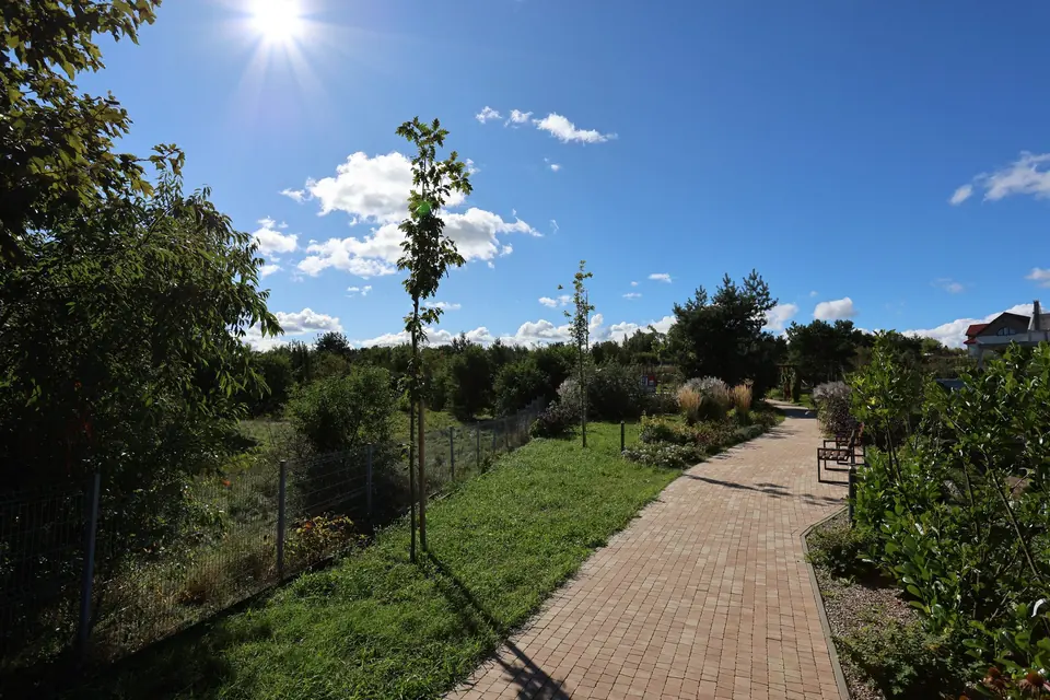 Ścieżka spacerowa przez park osiedlowy